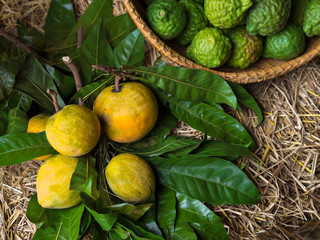 Yellow lemon, green bergamot and green leaves on wooden table and straw in an organic market for fresh, juicy, vitamin and healthy food and fruits  - obrazy, fototapety, plakaty