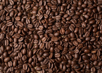 roasted coffee beans