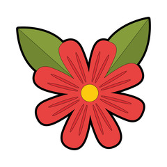 beautiful flower cultivated icon vector illustration design