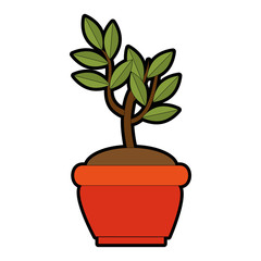 tree plant in pot vector illustration design