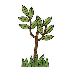 tree plant isolated icon vector illustration design