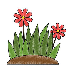 beautiful flower cultivated icon vector illustration design