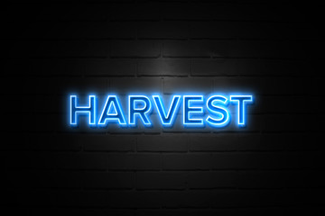 Obraz premium Harvest neon Sign on brickwall
