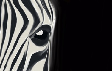 Figure of a zebra on a black background © byvivik89