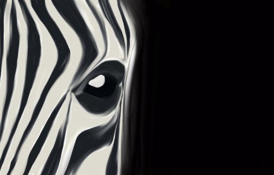 Figure of a zebra on a black background