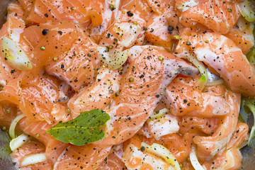 Salmon being prepared for marination