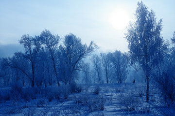winter landscape in the Park at dawn