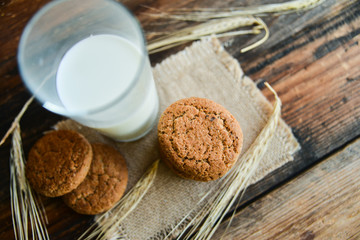 fresh oatmeal cookies and milk on wooden background with spikes of oats