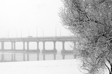 A tree in the snow and a bridge across the river during a heavy snow