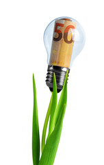 Light bulb with euro banknotes on a plant isolated on a white background. Concept of saving money for energy.