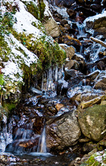 the water of the creek moving seems to be silk