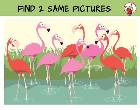 Find two the identical flamingos in the flock. Find two same pictures. Educational matching game for children. Cartoon vector illustration