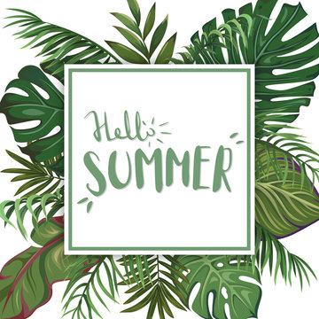 A square template with leaves of tropical palms. Hand-written lettering Hello Summer