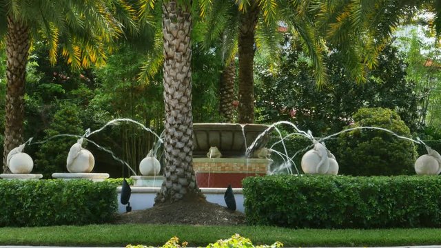Water Fountain Being Shut off with Lizard Statue Palm Trees, 4K