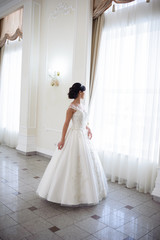 Fototapeta premium Beautiful bride in wedding dress