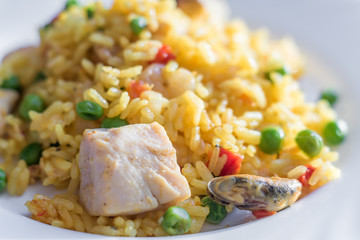 closeup bof paella with chicken and seafood on white plate.