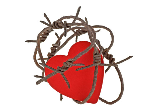 Red heart on barbed wire, white background
