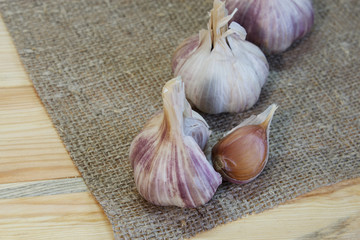 Garlic. Garlic Cloves and Garlic Bulb on vintage burlap. Organic garlic. Place for text, copy space Concept of healthy food.  Selective focus.