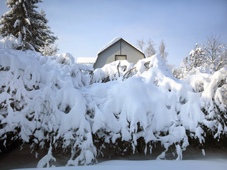 House Hidden In Snow