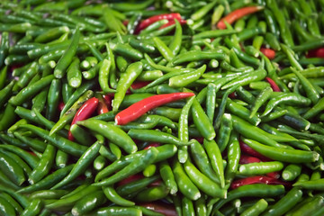 Red and green Bird's Eye Chilli stack together for several seeds.
