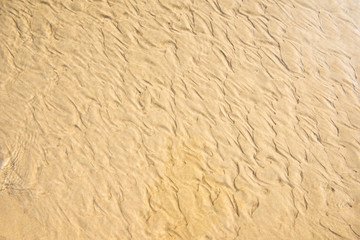 Fototapeta na wymiar Sea sand surface beach Brown Texture Background. Top view
