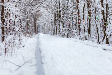 a railway in the winter forest tunnel of love
