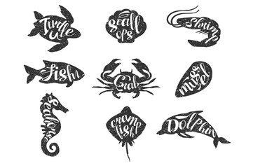 Vintage set of hand drawn sea animals. Silhouette of turtle, scallops, shrimp, fish, crab, mussel, seahorse, crampfish, dolphin with lettering. Textured monochrome vector