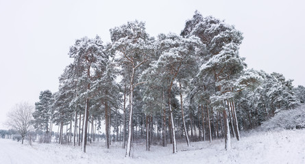 Landschaft im Winter