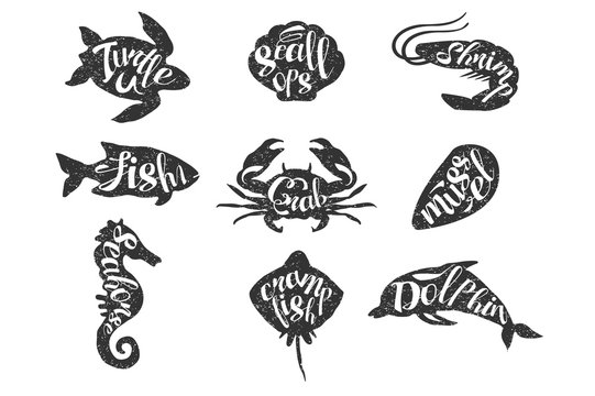 Vintage set of hand drawn sea animals. Silhouette of turtle, scallops, shrimp, fish, crab, mussel, seahorse, crampfish, dolphin with lettering. Textured monochrome vector