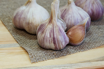 Garlic. Garlic Cloves and Garlic Bulb on vintage burlap. Organic garlic. Selective focus. Close-up.