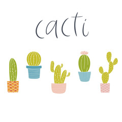 Set of different plants, cacti in patterned pots. Cute hand drawn greenery doodle. Colorful and bright cactus vector illustration for spring poster.