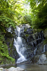 Fototapeta na wymiar 糸島の白糸の滝