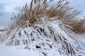 Winter on Baltic sea beach.