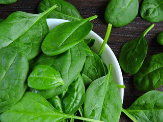 Spinach baby green and juicy