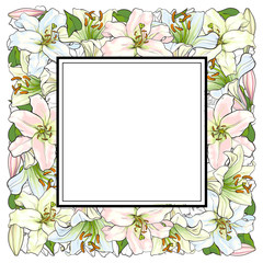 Vector sketch illustration square frame template. White light pink tulips flower with closed opened blossom leaves pattern. Floral natural decoration background, backdrop element fabric textile design