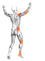 Conceptual human muscle anatomy with red and yellow hot spot inflammation or articular joint pain for health care therapy or sport concepts. 3D illustration man arthritis or bone osteoporosis disease