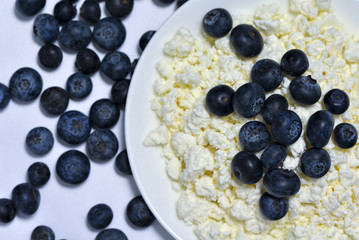 A bowl of cottage cheese and blueberries on a white background.