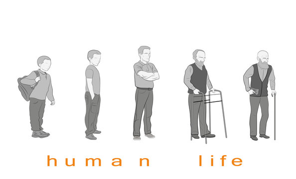 human life at different ages. vector illustration
