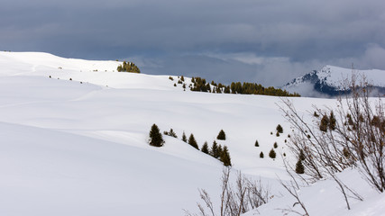Dolomites. Magic of winter on the plateau of Siusi
