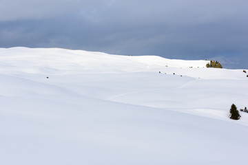 Fototapeta na wymiar Dolomites. Magic of winter on the plateau of Siusi