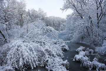 The river was covered with ice, winter, trees in the snow