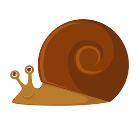 Snail with big brown shell and friendly face