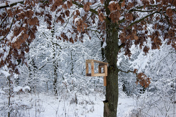 bird feeder hangs on a tree in the winter. A lot of snow.