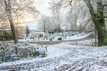 beautiful winter morning in the countryside