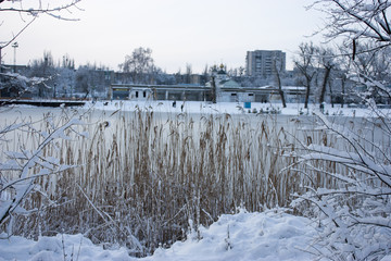 The river was covered with ice, winter, trees in the snow