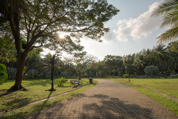 Obraz premium Stone Pathway in the garden.