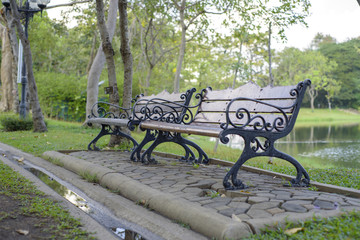 Bench in the green park.