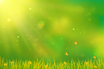 Fototapeta na wymiar Green background with grass, flowers and butterflies.