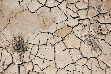 arid and waste land