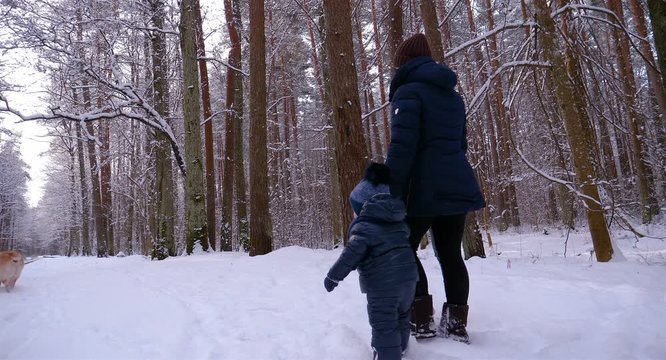 A mother with a child and a dog (Labrador) walks through the woods, in winter, all in white snow and trees.